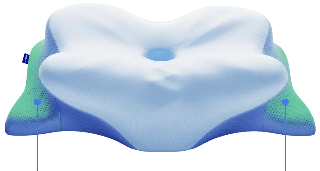 Derila Ergo Pillow